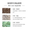 【中小样】祖玛珑鼠尾草与海盐香水 9ml Q香带喷头Jo Malone 商品缩略图2