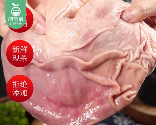 绿德源精选冷鲜猪肚（400g±50g/盒） 商品图2