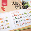 贝恩施儿童会说话的拼音点读有声书幼儿有声读物手指点读发声玩具 商品缩略图4