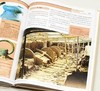 《中国艺术史图典》，全9册，16开精装，中国文物学会专家委员会编，上海辞书出版社2017年一版一印，9册总定价1104元，售价330元。可单售，统一售价46元一册。 商品缩略图7