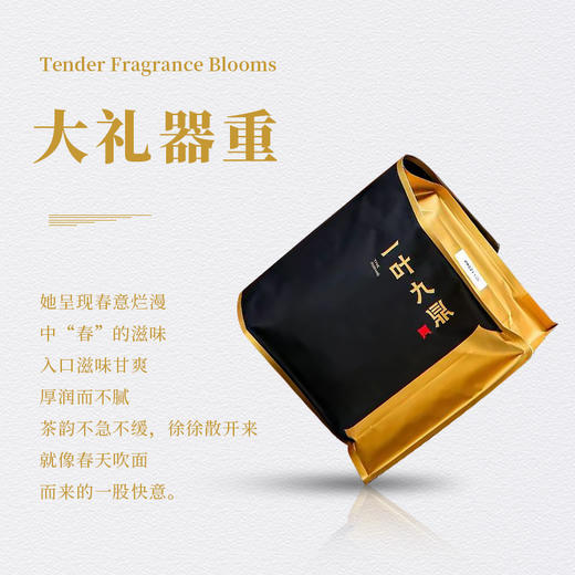 福鼎白茶 |  【2025年预售】一叶九鼎 大洋山 春韵寿眉 500g 商品图2