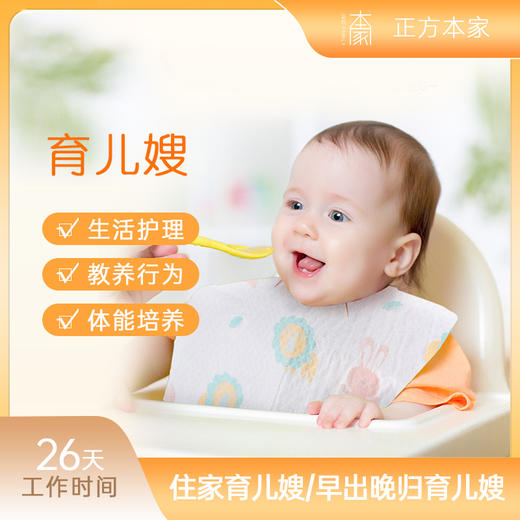 育儿嫂 商品图0