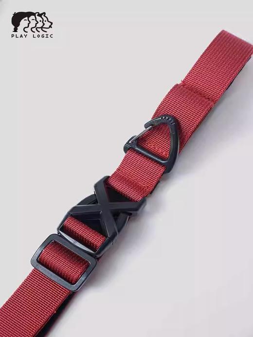 PALYLOGIC 宠物牵引绳 商品图3