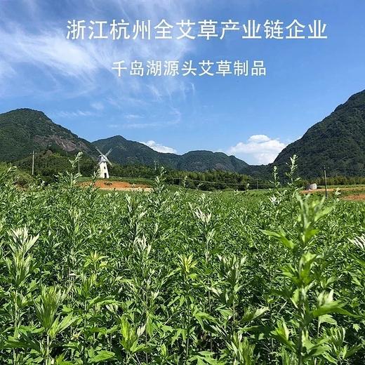 艾浙里草本艾草艾条 产自千岛湖 商品图4