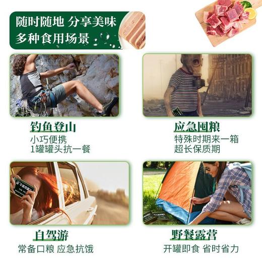 北戴河198g午餐肉罐头速食即食家庭应急长期储备食品 商品图6