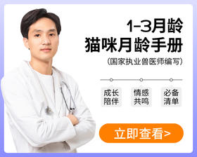 1-3月龄猫咪成长指南