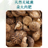 施言稀花菇250克/袋 商品缩略图3