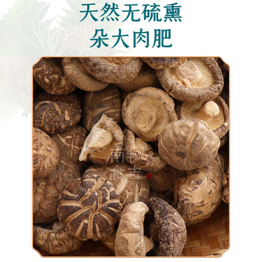施言稀花菇250克/袋 商品图3