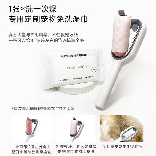 引力猫梳子宠物梳毛专用猫毛清理清洁祛毛梳毛刷狗猫咪去浮毛神器 商品图2