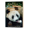 英文原版 Pandas and Other Endangered Species MTHFT#26 神奇树屋小百科系列26 儿童英语章节小说 英文版 商品缩略图0