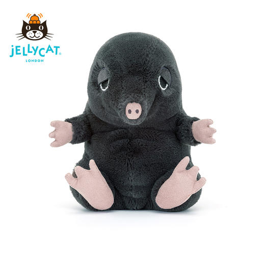 Jellycat 抱抱摩根鼹鼠/达西睡鼠伯纳德兔子 16cm 商品图4