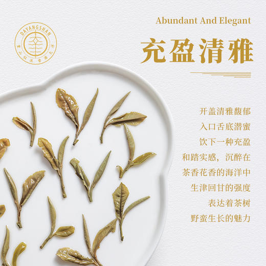 福鼎白茶 | 【2023年新茶】一叶九鼎 高山 头采牡丹 500g 商品图6