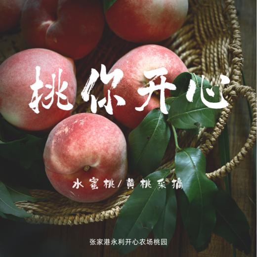 张家港孩子志，永利开心农场桃园、水蜜桃、黄桃… 商品图0
