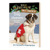 英文原版 Dog Heroes MTHFT#24 神奇树屋小百科系列24 狗英雄 英文版 商品缩略图0