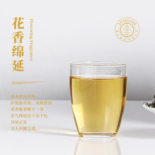 福鼎白茶 | 【2023年新茶】一叶九鼎 高山 头采牡丹 500g 商品图4