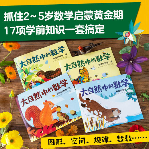 大自然中的数学 全4册 3-6岁 莉安·弗拉特 等著 科普百科 商品图1