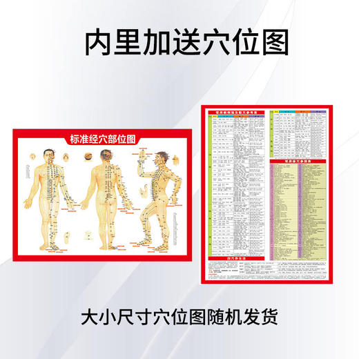  艾草三伏贴香港九龙大药房冬病夏治30贴/盒送穴位图批发三伏药贴 商品图2
