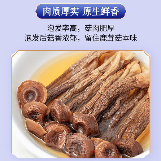 施言稀鹿茸菇250克/袋 商品图4