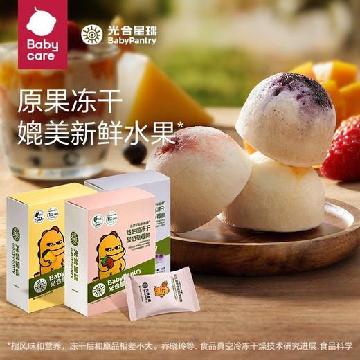 光合星球全品（批发下单链接） 商品图7