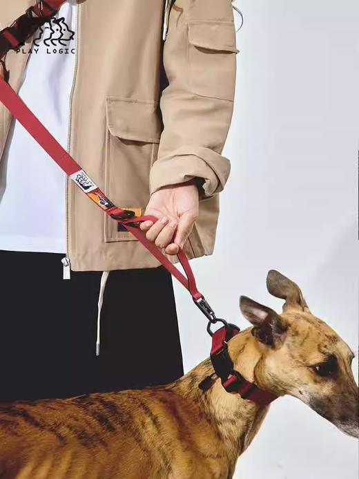 PLAYLOGIC 宠物项圈 商品图0