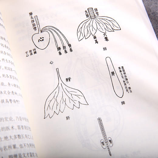 黄帝内经通解（全3册）上古三大奇书之一，中国医典之祖；一部为普通大众打开《黄帝内经》智慧的入门之作；让《黄帝内经》从神秘走向通俗，从深奥走向浅白 商品图4