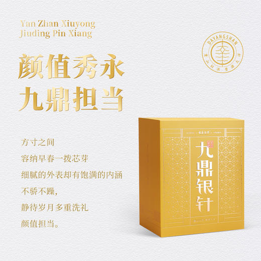 福鼎白茶 |  2023年 一叶九鼎 大洋山 九鼎银针 300g 商品图1