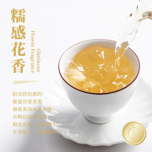 福鼎白茶 | 2023年一叶九鼎 大洋山 高山岚韵牡丹 特级白牡丹 500g 商品图4