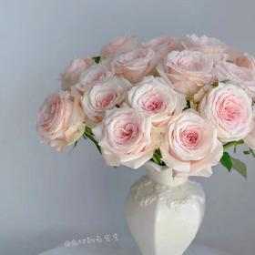 国产玫瑰-双鱼座-20支