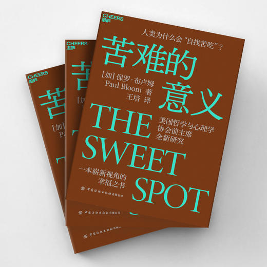 苦难的意义 商品图2