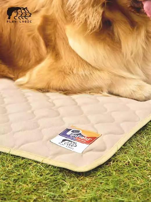 PLAYLOGIC 宠物睡垫 商品图3
