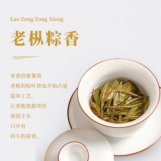 福鼎白茶 |  【2025年预售】一叶九鼎 大洋山 春韵寿眉 500g 商品图4