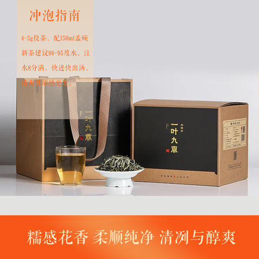 福鼎白茶 | 2023年一叶九鼎 大洋山 高山岚韵牡丹 特级白牡丹 500g 商品图0