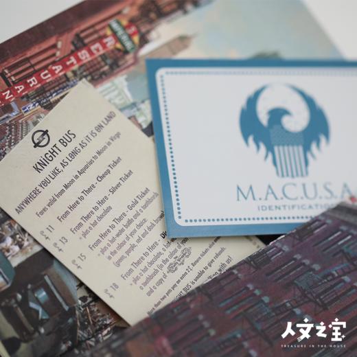 【人文之宝】哈利·波特：J.K. 罗琳的魔法世界口袋日志 商品图3