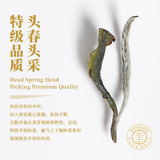 福鼎白茶 | 【2023年新茶】一叶九鼎 高山 头采牡丹 500g 商品图3