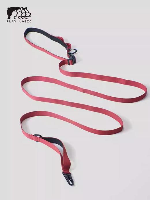 PALYLOGIC 宠物牵引绳 商品图5