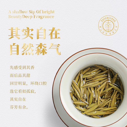 福鼎白茶 |  2023年 一叶九鼎 大洋山 九鼎银针 300g 商品图3