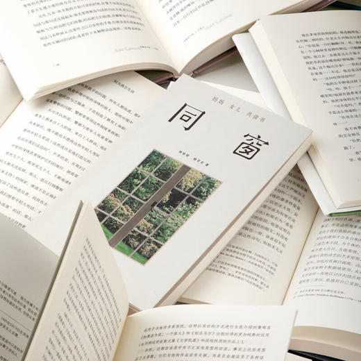 同窗 妈妈女儿共读书 林桂枝等 著 社会科学 商品图2