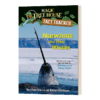 英文原版 Narwhals and Other Whales MTHFT #42 神奇树屋小百科系列42 经典冒险小说 英文版 进口英语原版书籍 商品缩略图1