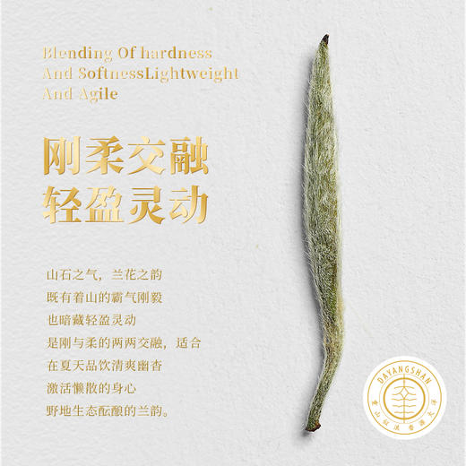 福鼎白茶 | 2023年一叶九鼎  大洋山  高山炭焙银针 300g/盒 商品图2