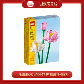 乐高积木 L40647	创意高手荷花