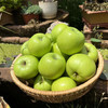 【新品】云南高原青苹果 商品缩略图1