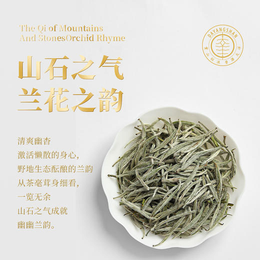 福鼎白茶 | 2023年一叶九鼎  大洋山  高山炭焙银针 300g/盒 商品图3