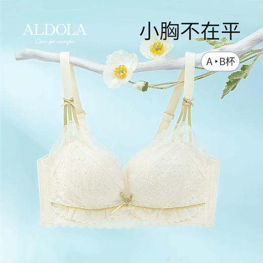 雅黛俪内衣女小胸聚拢莫代尔蕾丝文胸无钢圈2023新款美背胸罩 商品图6