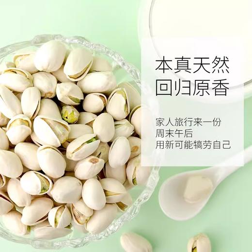 富华林自然开心果 约500g/份 商品图1
