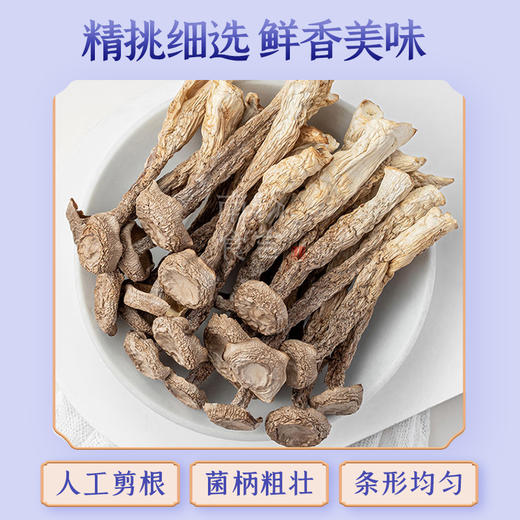 施言稀鹿茸菇250克/袋 商品图2