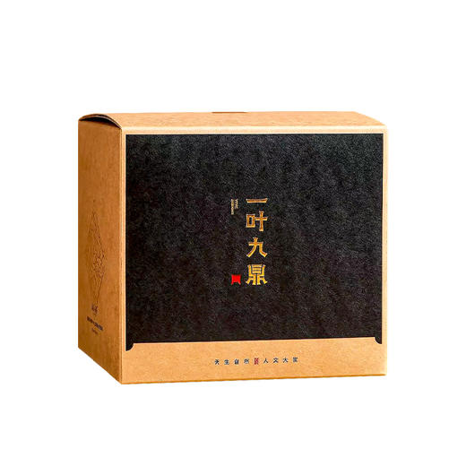 福鼎白茶 | 【2023年新茶】一叶九鼎 高山 头采牡丹 500g 商品图1