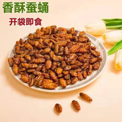 【买5袋送5袋】香酥蚕蛹山东特产即食香辣五香蚕蛹新鲜蚕蛹下酒菜 商品图3
