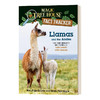 英文原版 Llamas And The Andes 神奇树屋小百科系列43 Magic Tree House Fact Tracker 儿童英语阅读趣味故事桥梁初级章节书 商品缩略图0