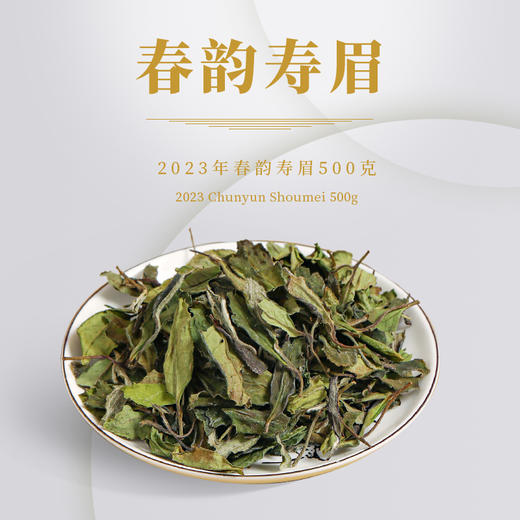 福鼎白茶 |  【2025年预售】一叶九鼎 大洋山 春韵寿眉 500g 商品图1
