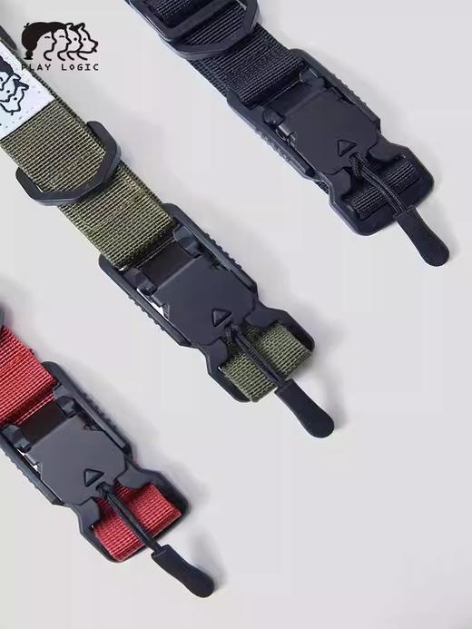 PLAYLOGIC 宠物项圈 商品图3